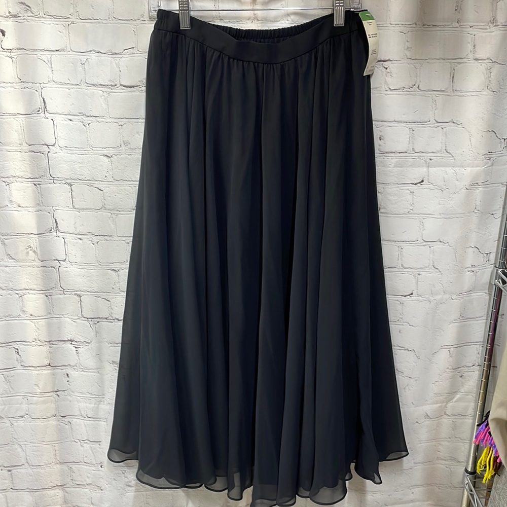 Adrianna Papell Vintage NWT Evening goth whimsical full sheer size 8 skirt